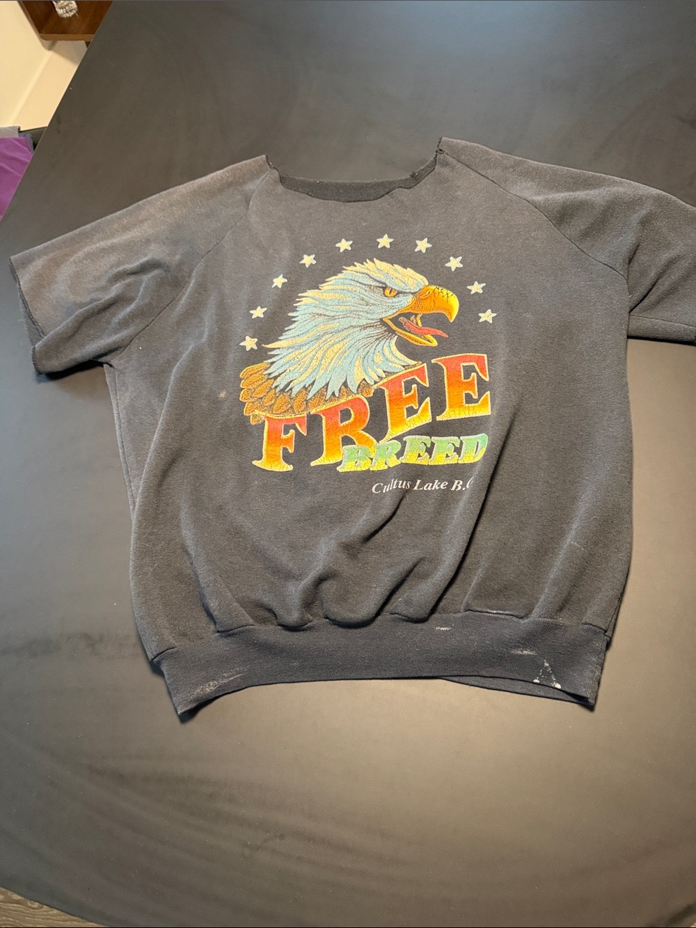 FREE BREED Black Graphic Sweatshirt with Eagle Design